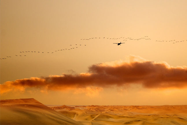 Scenic Flight over the Dunes